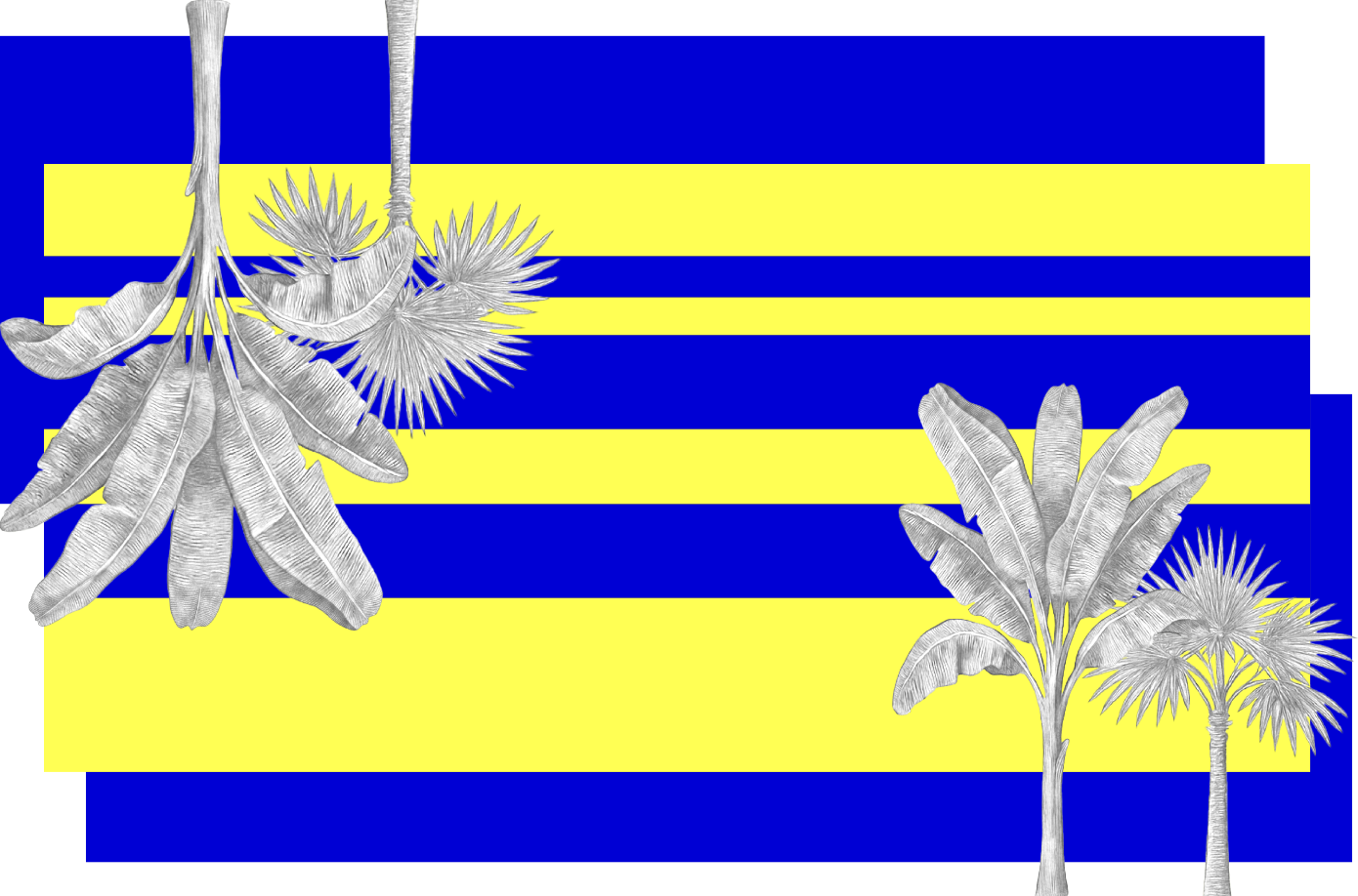 A graphic design featuring bold horizontal stripes in royal blue and bright yellow, overlaid with white tropical palm and banana leaf illustrations.
