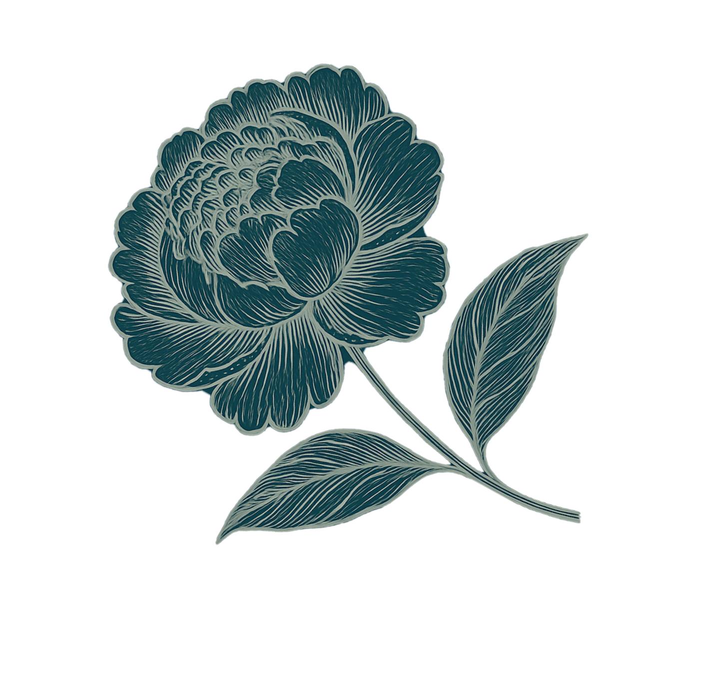 Decorative teal peony flower with leaves on a white background