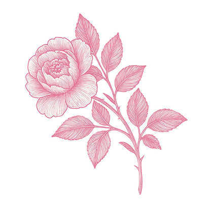 Pink floral design on a white background, detail of the illustration 