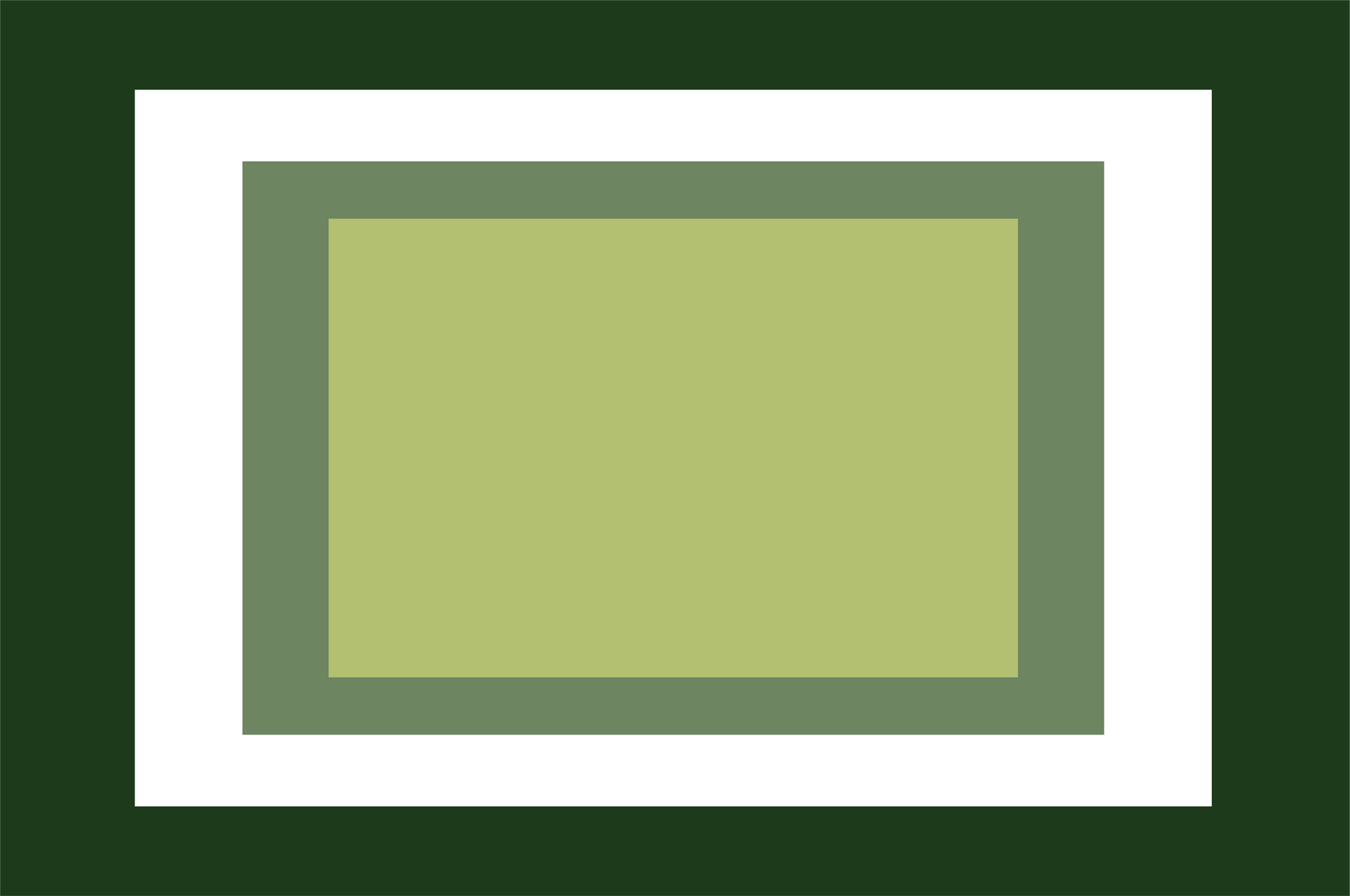  refined placemat, rectangular green rug with a white border on a green background