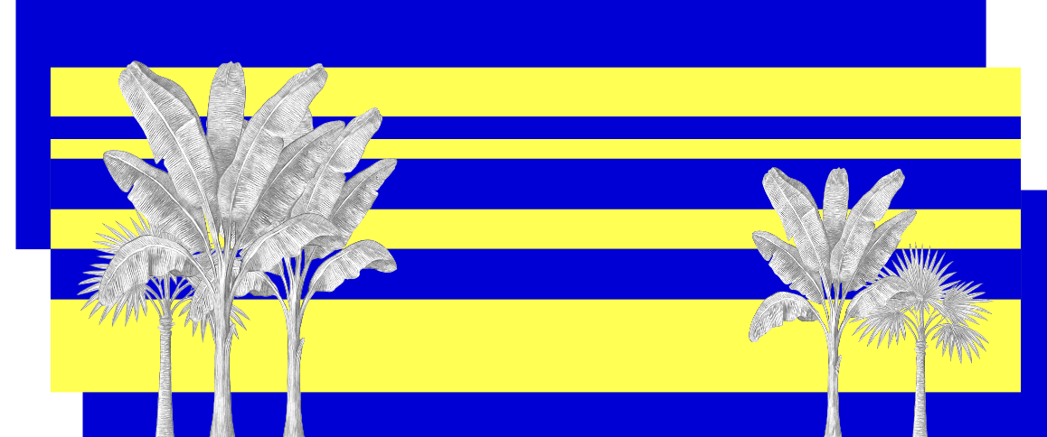 A graphic design featuring three white palm tree silhouettes set against a bold background of horizontal blue and yellow stripes.